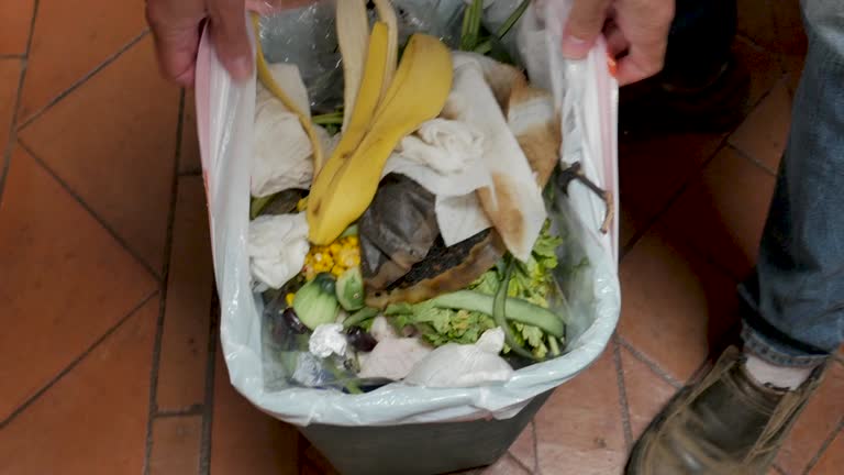 Best Recycling Services for Junk  in Lake Wales, FL